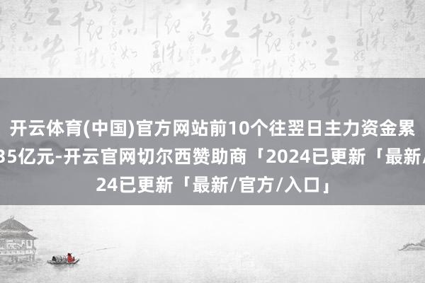 开云体育(中国)官方网站前10个往翌日主力资金累计净流出1.35亿元-开云官网切尔西赞助商「2024已更新「最新/官方/入口」